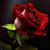 Love U Martinez's profile image