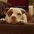 Kathy Erwin's profile image