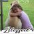 Todd Provis's profile image