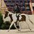 Diane Basile's profile image