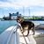 Kelly Rinker's profile image