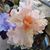 Colleen Jones-Robbins's profile image