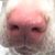 Kimberly Ann Killian's profile image