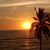 Gayle Primeau's profile image