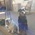 Trish Lenda Regan's profile image