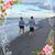 Tricia Deskins Hunter's profile image