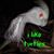 Casey Discursion's profile image