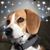 Casey Clark's profile image