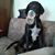 Judy Taylor's profile image