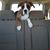 Mary Hiller McNealy's profile image