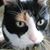 Rita A Fuller's profile image
