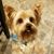 Susan Marie Dickey's profile image