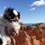 Todd Legg's profile image
