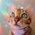 Bob E Lupo's profile image