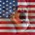 Suzanne Donnelly's profile image
