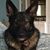 Jean Lamendola-Goss's profile image