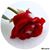 Cindy Rollinson's profile image