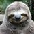 Jeff Wallace's profile image