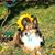 Trampas Railey's profile image