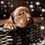 Paul Nestork's profile image