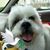 Janet Bednarchuk's profile image