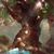 Lolo HC's profile image
