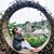 Thanh Trịnh's profile image