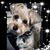 Jillian Bubacz's profile image