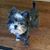 Wanda Holley's profile image