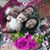 Rosie Rodriguez's profile image