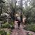 Haleh Aryan's profile image