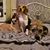 Amy Stults's profile image