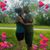 Joyce B Harms's profile image