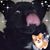 Pam Tison's profile image