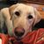 Lara P Olsen Prozinski's profile image