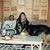 Victoria Riche Evans Theiler's profile image