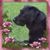 Penny St Marie Herrmann's profile image