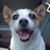 David J. Brooks's profile image