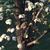 Mary Kulesza Shields's profile image