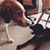 Linda Spillman Garrity's profile image