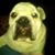 Keith Becker's profile image