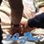 Lucero Almendarez-Perez's profile image