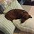 Mary Jett Burk's profile image