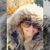 Kelly Foley's profile image