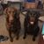Renee Moulton's profile image
