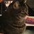 Melissa Parkerson's profile image