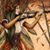 Debbie Mosher's profile image