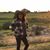 Lauren Bosley's profile image