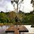 Susana Ruiz's profile image