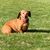 Patty Kelly Woodward's profile image